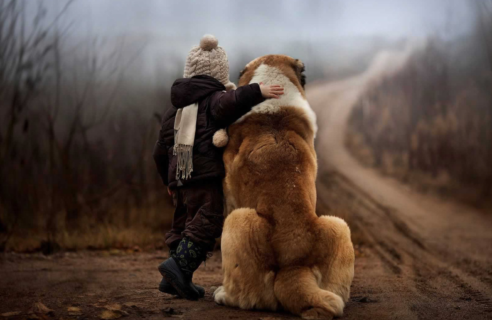 Por que os cães vivem menos (e melhor) que as pessoas?