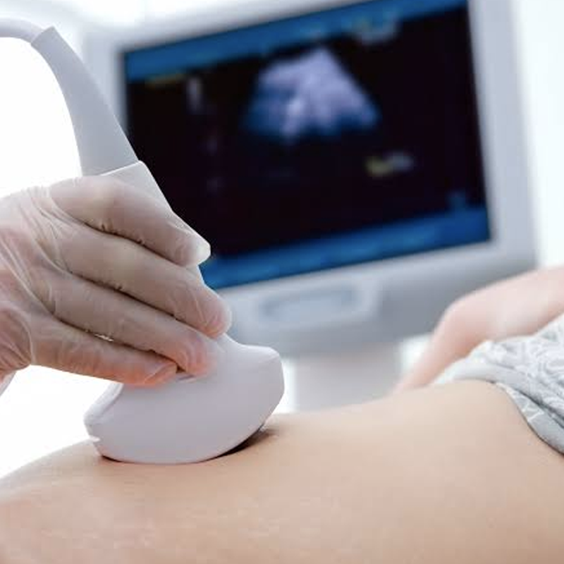 A Igreja aceita “barriga de aluguel” e inseminação artificial?
